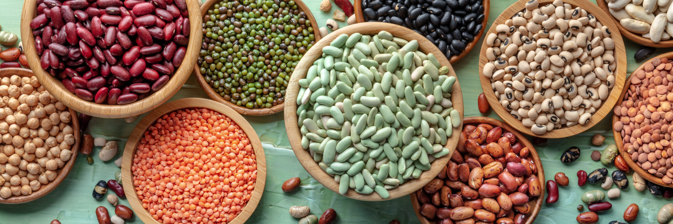 Various legumes, overhead flat lay panorama on a blue background. Many different pulses, an assortment, panoramic banner