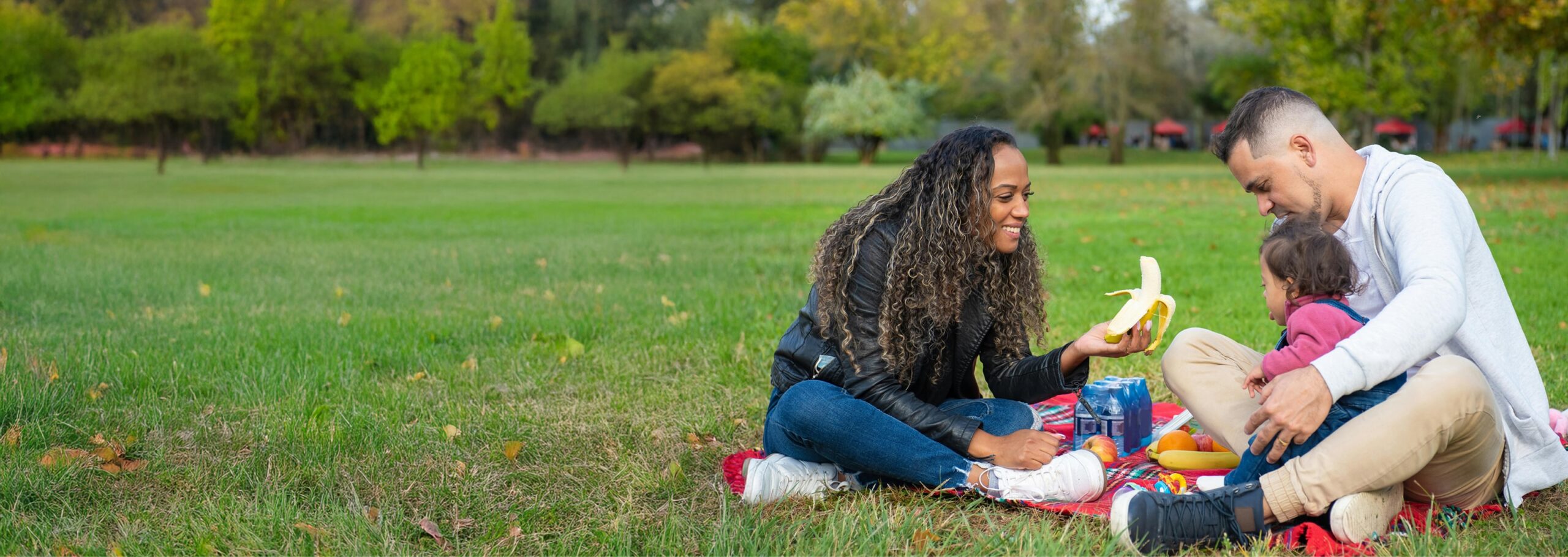 A father sits with his toddler on his lap while the mother holds out a peeled banana to eat. They are on blanket having a picnic in a park setting.